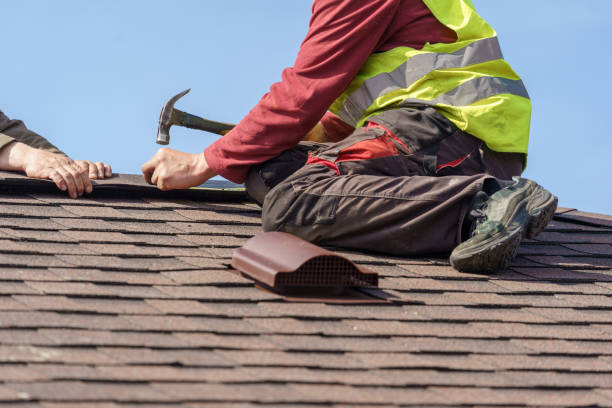 Best Roof Leak Repair  in Clinton, MI
