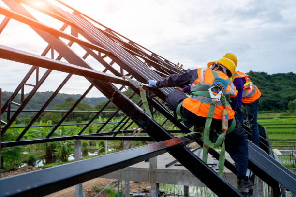 Best Roof Gutter Cleaning  in Clinton, MI