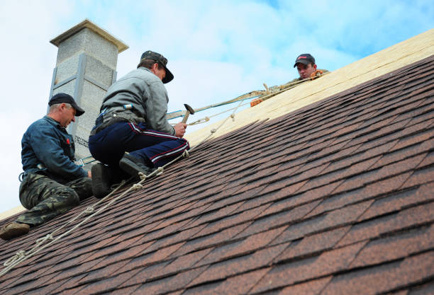 Best Tile Roofing Contractor  in Clinton, MI
